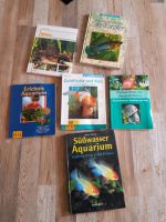 Bücher über Fische/ Angeln Nürnberg (Mittelfr) - Nordstadt Vorschau