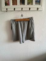 Nike Dri-Fit Shorts L Grau Leipzig - Leipzig, Zentrum Vorschau