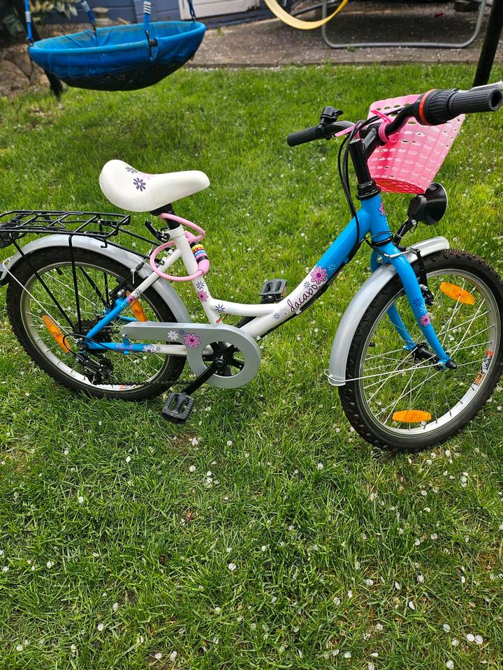 Mädchen Fahrrad 20 Zoll, blau weiß in Moosburg a.d. Isar