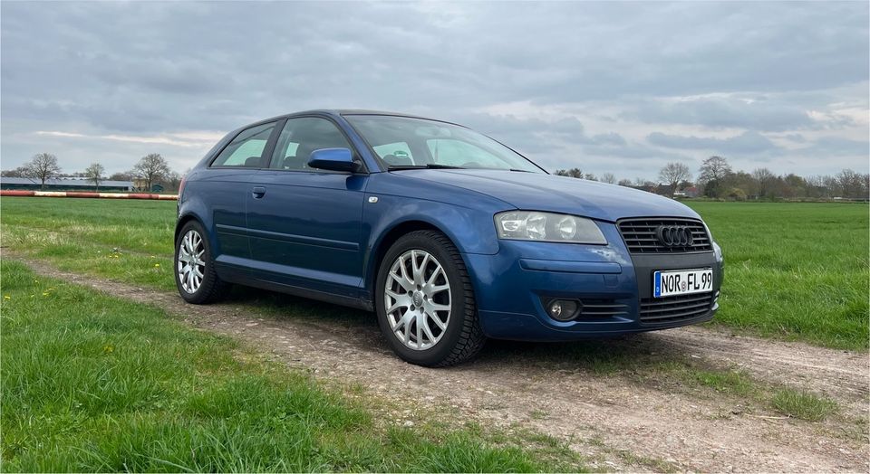 Audi A3 8P 2.0 TDI in Südbrookmerland