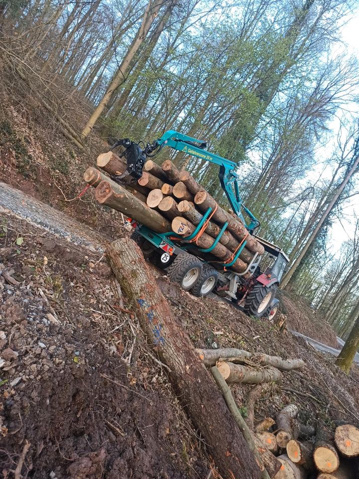 Holztransport|Rückewagen|Holzrückung in Großbottwar