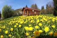 Ferienhaus im Harz Sachsen-Anhalt - Thale-Altenbrak Vorschau