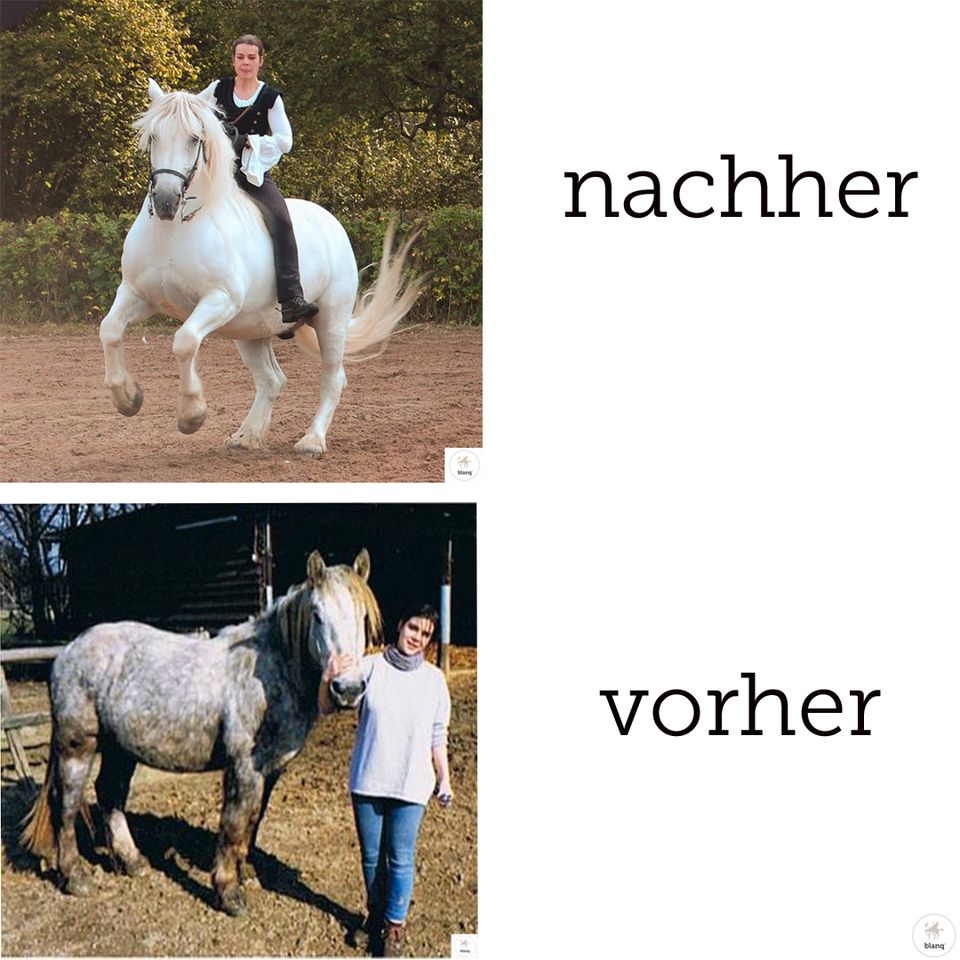 mobiler & online Reitunterricht Reitkunst Horsemanship TOUR MKK in Echzell 