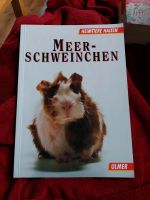 Buch Meerschweinchen Kreis Ostholstein - Stockelsdorf Vorschau