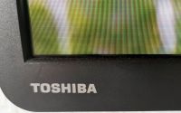 Bald ist WM! TV Toshiba 49" mit Wandhalterung und extra Receiver Hessen - Feldatal Vorschau