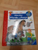 Wieso weshalb warum Alles über Pferde und Ponys Niedersachsen - Salzbergen Vorschau