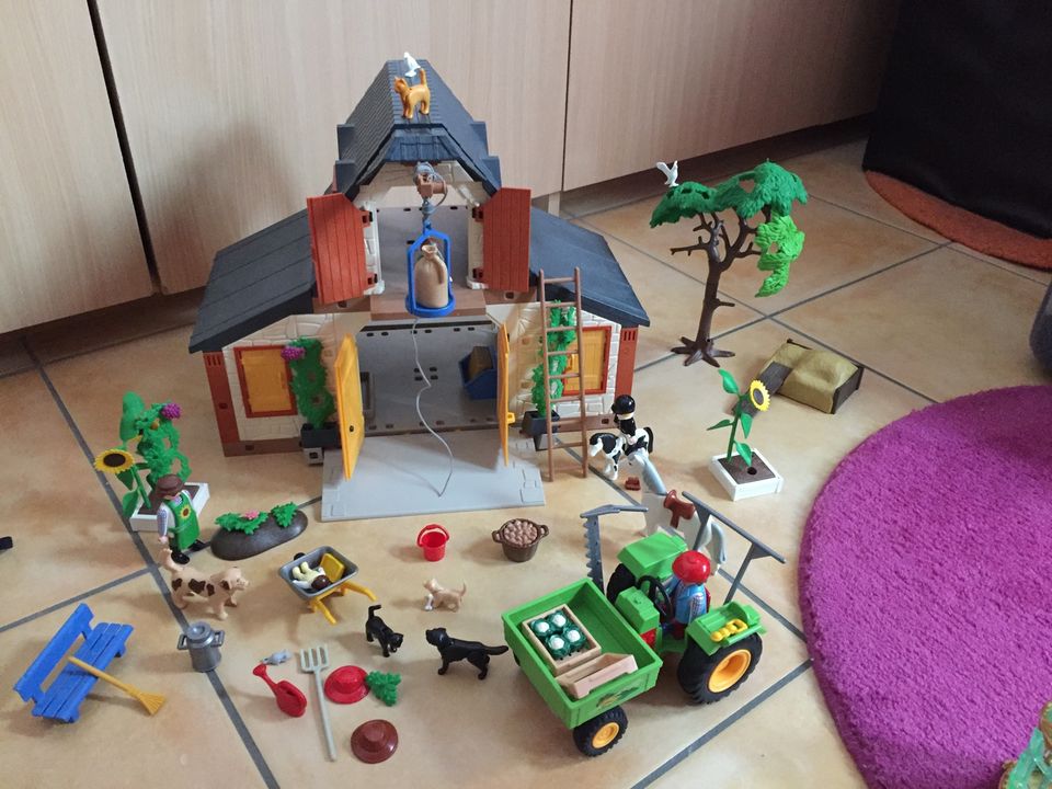 Playmobil verschiedene Sets in Cremlingen