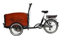 Jet-Line Elektro Cargo Bike 'Hans' in Holzoptik 2999€* Baden-Württemberg - Herbertingen Vorschau