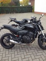 Motorrad Honda CB600F Niedersachsen - Nordhorn Vorschau