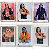 WWF Promokarte Autogrammkarten Bret Hart Undertaker WWE Wrestling Sachsen - Schwarzenberg (Erzgebirge) Vorschau