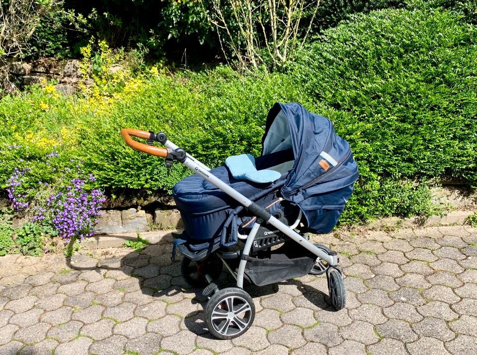 Gesslein F4 Kombikinderwagen Kinderwagen Buggy mit C2 Tasche etc. in Erlenbach