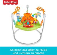 Fisher Price Spielspaß Essen - Essen-Kray Vorschau