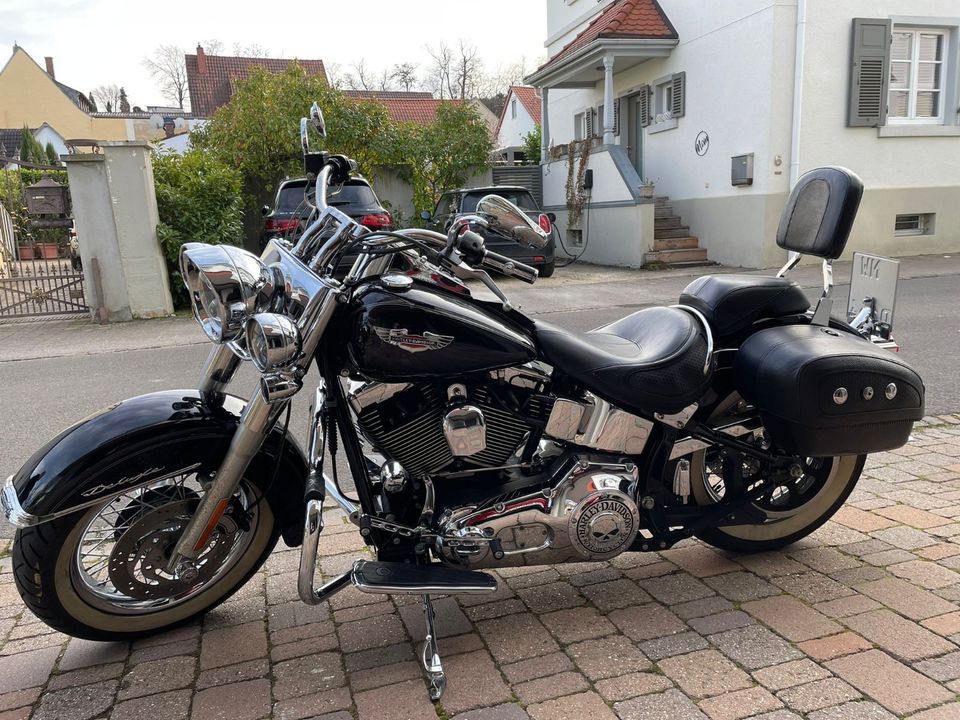 Harley Davidson Softail Deluxe in Neustadt an der Weinstraße