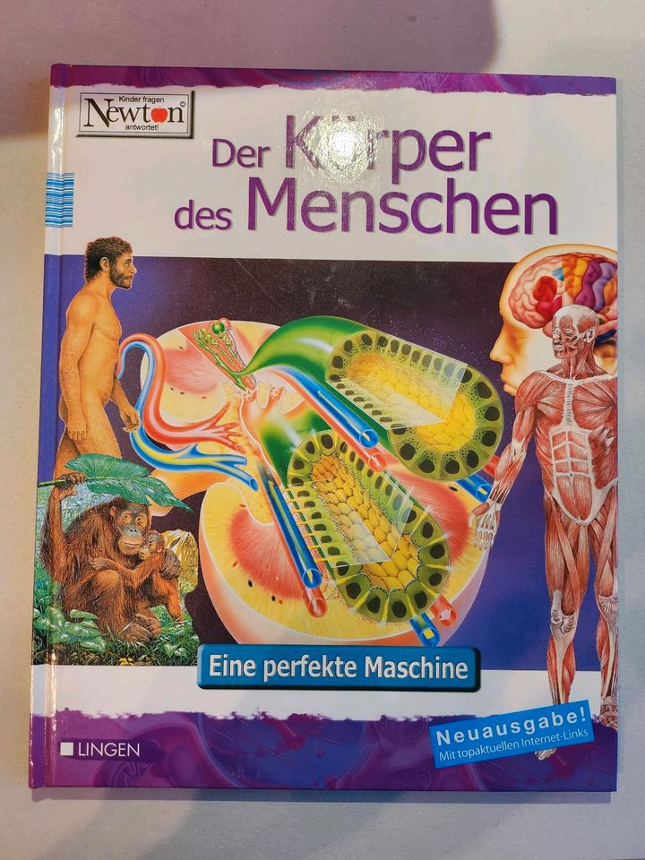 7x Kinderbücher von Newton in Taufkirchen