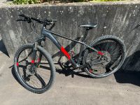 MTB Cube Aim SL 29" Rahmenhöhe 17" iridium´n´red Baden-Württemberg - Gundelsheim Vorschau