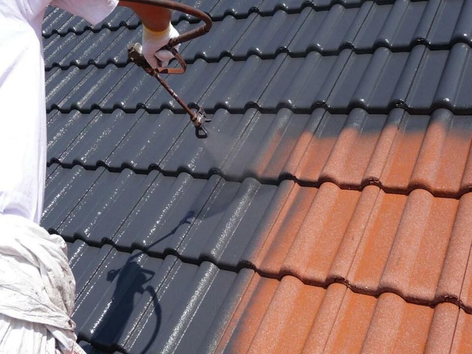 Dachbeschichtung, Dachreinigung, Reparatur in Neunkirchen