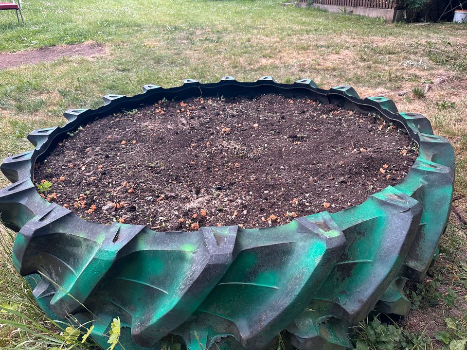 Hochbeet, Blumen, Pflanzen. in Bayern Altenstadt an der Waldnaab