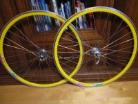 Campagnolo  Laufradsatz Rigida DP 18 Hochprofil 28 Zoll Vintage Rheinland-Pfalz - Mudersbach Vorschau