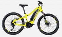 Lapierre Overvolt HT 24 Zoll Bayern - Neureichenau Vorschau