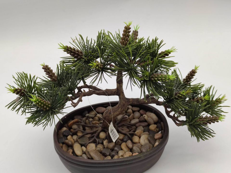 2x Kunstbaum Bonsai im Topf 25cm täuschend echte Topfpflanze in Ehringshausen