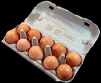 Eier von glücklichen Hühnern, Rostock Stadtmitte Rostock - Stadtmitte Vorschau