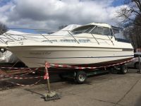 Marex suncruiser 29 Sachsen-Anhalt - Coswig (Anhalt) Vorschau