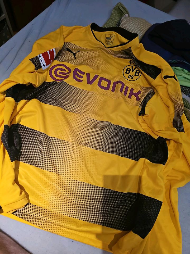 Borussia dortmund reus trikot in Aachen