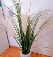 Kunstpflanze Palmgras und Isolepsis Gras NEU!! Nordrhein-Westfalen - Herford Vorschau