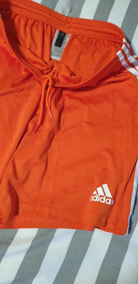 Adidas Shorts lang,kurz verschiedene Ausführungen im Bundle in Bornheim