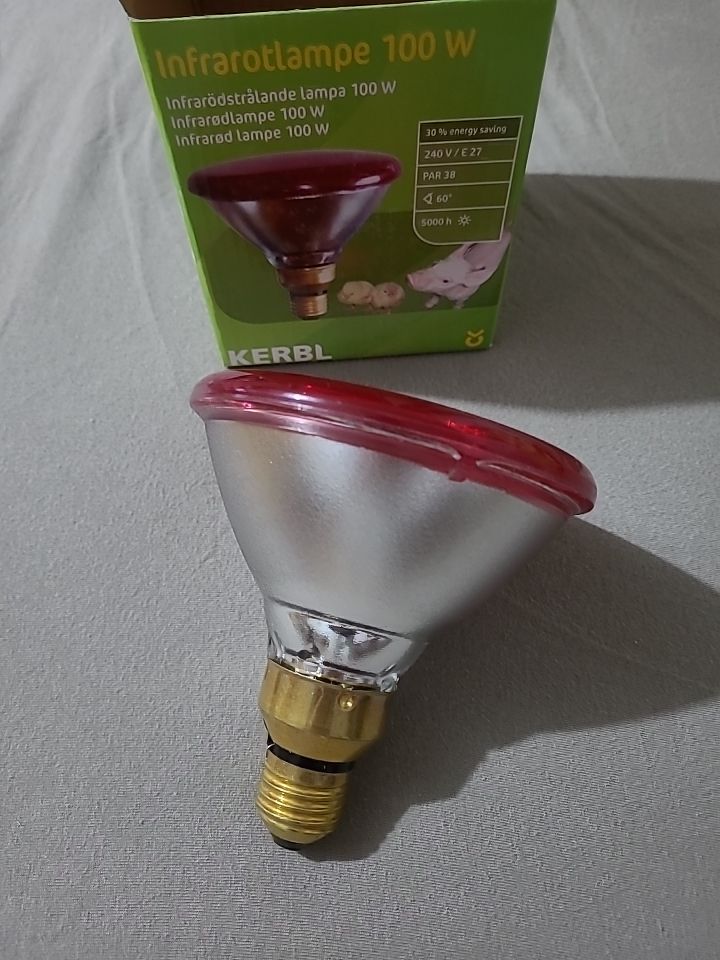 Infrarot-Sparlampe rot, 100Watt €6,- 2St. €10,-nur noch 2St.da in Bayern -  Dinkelsbuehl | eBay Kleinanzeigen ist jetzt Kleinanzeigen