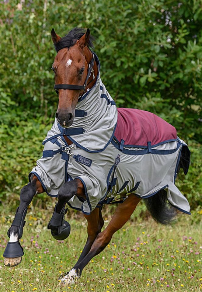 Verkaufe Fullneck-Fliegendecke mit Softshell in 155 in Halberstadt