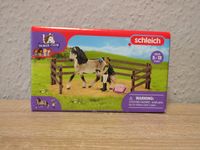 Schleich Set 42270 Horse Club Pferd und Tierpfleger Spielzeug Brandenburg - Cottbus Vorschau