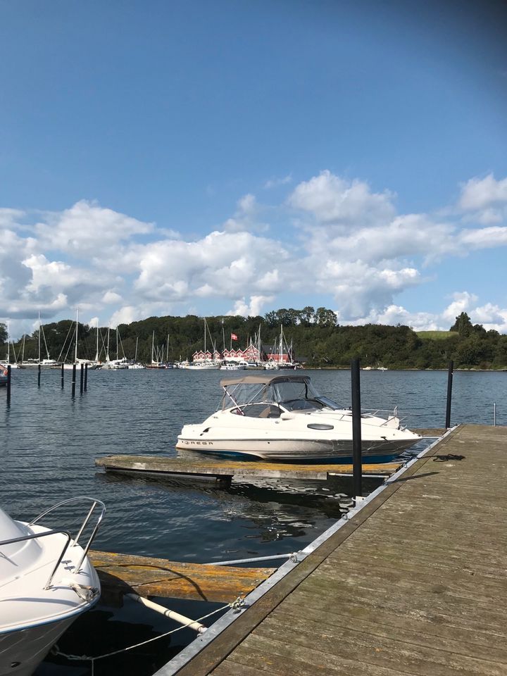 Oder Tauschen mit 245 oder 285 Bayliner in Flensburg