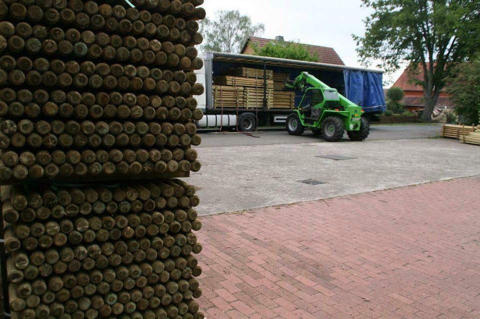 Zaunpfähle - Baumpfähle - Holzpfähle - 10 x 250 cm - imprägniert in Wagenfeld