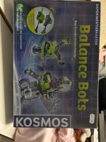 Balance Bots/ Katapult & Armbrust Rheinland-Pfalz - Konz Vorschau
