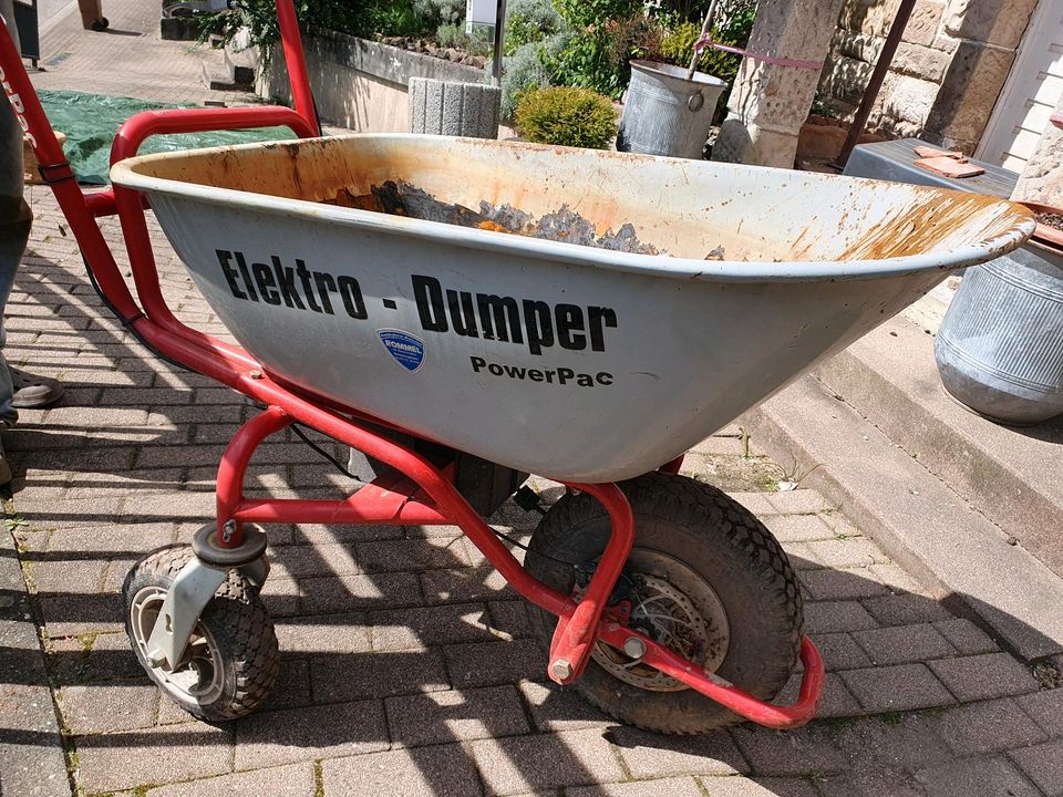 Akku-Schubkarre, Elektro-Dumper ED120 von Power-Pac in Gernsbach