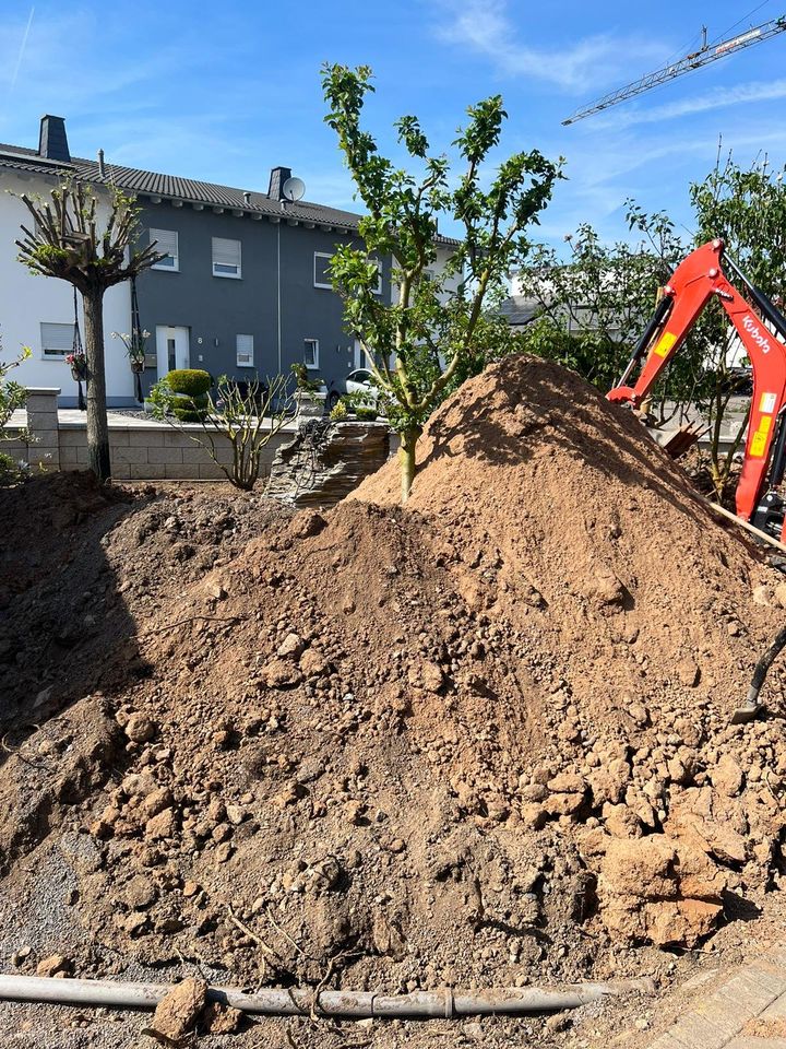 Baggerarbeiten✅️ .... der kleine kommt durch jedes Gartentörchen! in Urmitz