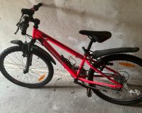 Mädchen Fahrrad Sachsen - Döbeln Vorschau