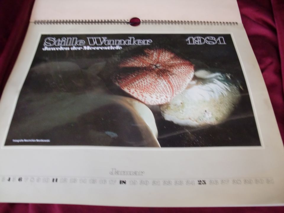 Kalender. "Stille Wunder 1981". in Düren