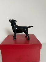 Baccarat Labrador schwarz Original mit Box Düsseldorf - Oberkassel Vorschau