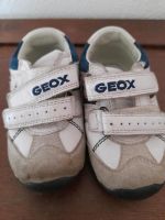 Geox Sneaker Größe 19 Turnschuhe Bayern - Niederwinkling Vorschau