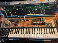 Suche Synthesizer für private Sammlung: Moog, Oberheim, Korg Baden-Württemberg - Beilstein Vorschau