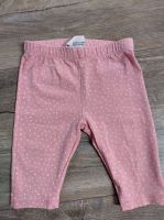 Shorts leggings Nordrhein-Westfalen - Finnentrop Vorschau