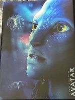 Avatar Extended Collectors Edition Niedersachsen - Damme Vorschau