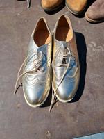 Goldene Schuhe Niedersachsen - Schwülper Vorschau