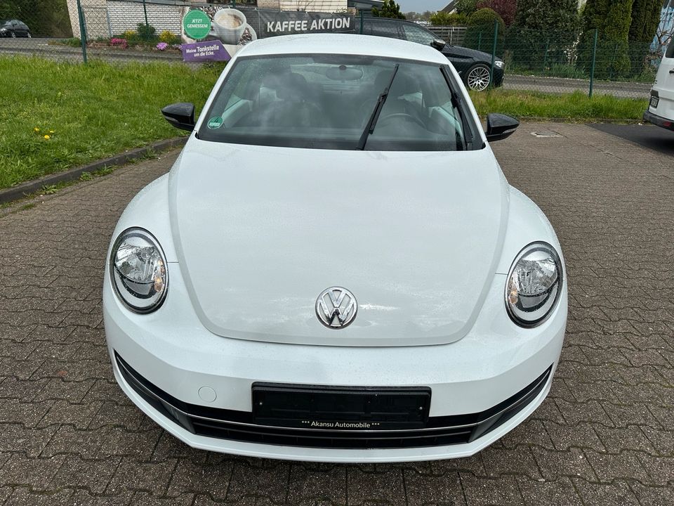Volkswagen Beetle Sport 2.0 TSI*Automatik*Leder*Scheckheft in Mönchengladbach