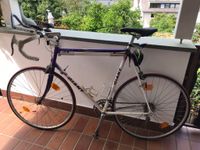 GIANT Peloton Lite RH 62 mit Sportlenker + Fahrradtrainer *Top* Koblenz - Lay Vorschau