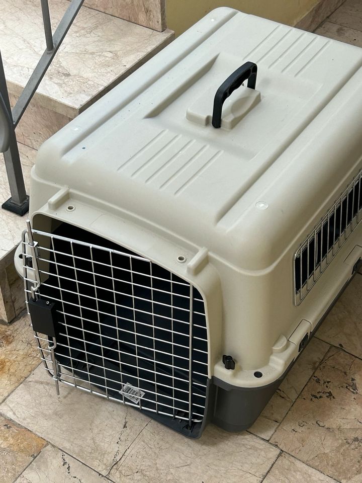 Transportbox Hund Katze in Sauerlach