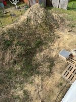 Kostenlose Muttererde mit Sand für Gartenprojekte, Auffülung Brandenburg - Ahrensfelde Vorschau