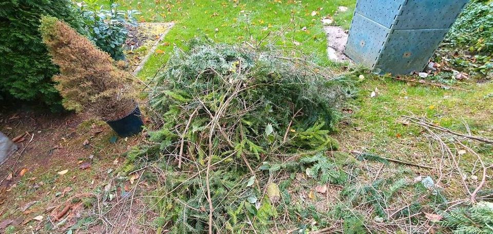 Deckreisig/Wedel Weihnachts- oder Adventsgesteck, Friedhof in Schorndorf